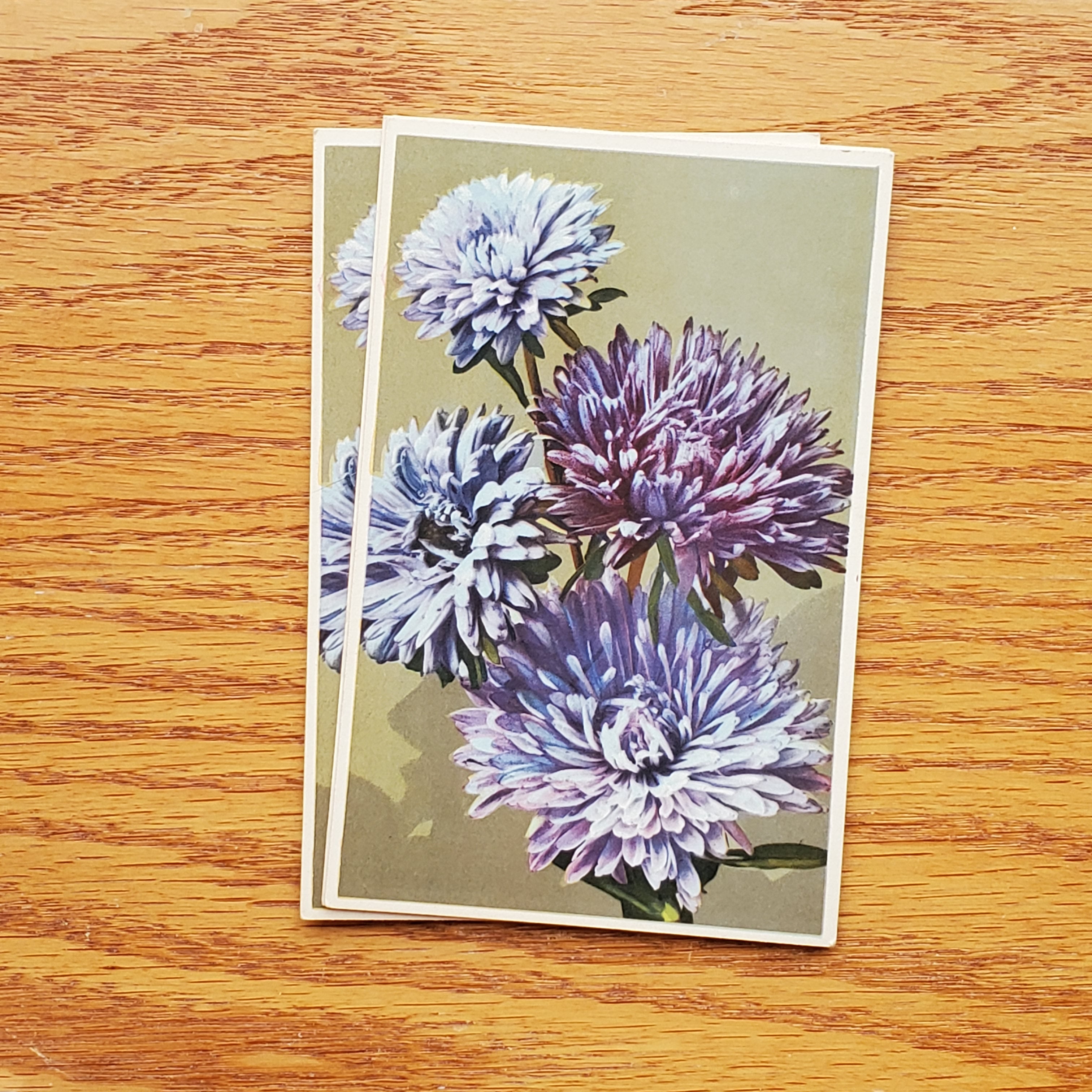 Floral Vintage E.D.B. Postcards