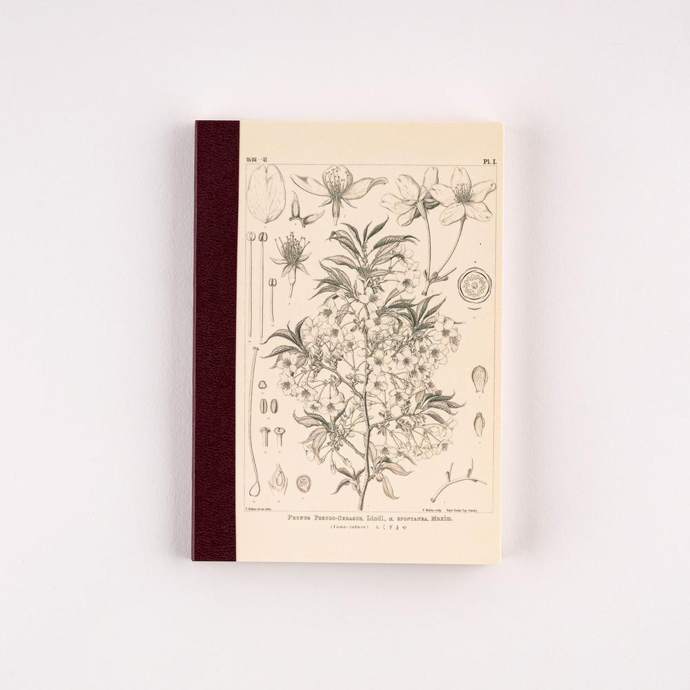 Hobonichi Techo / Tomitaro Makino: Hobonichi Graph Notebook (A6) - Yamazakura