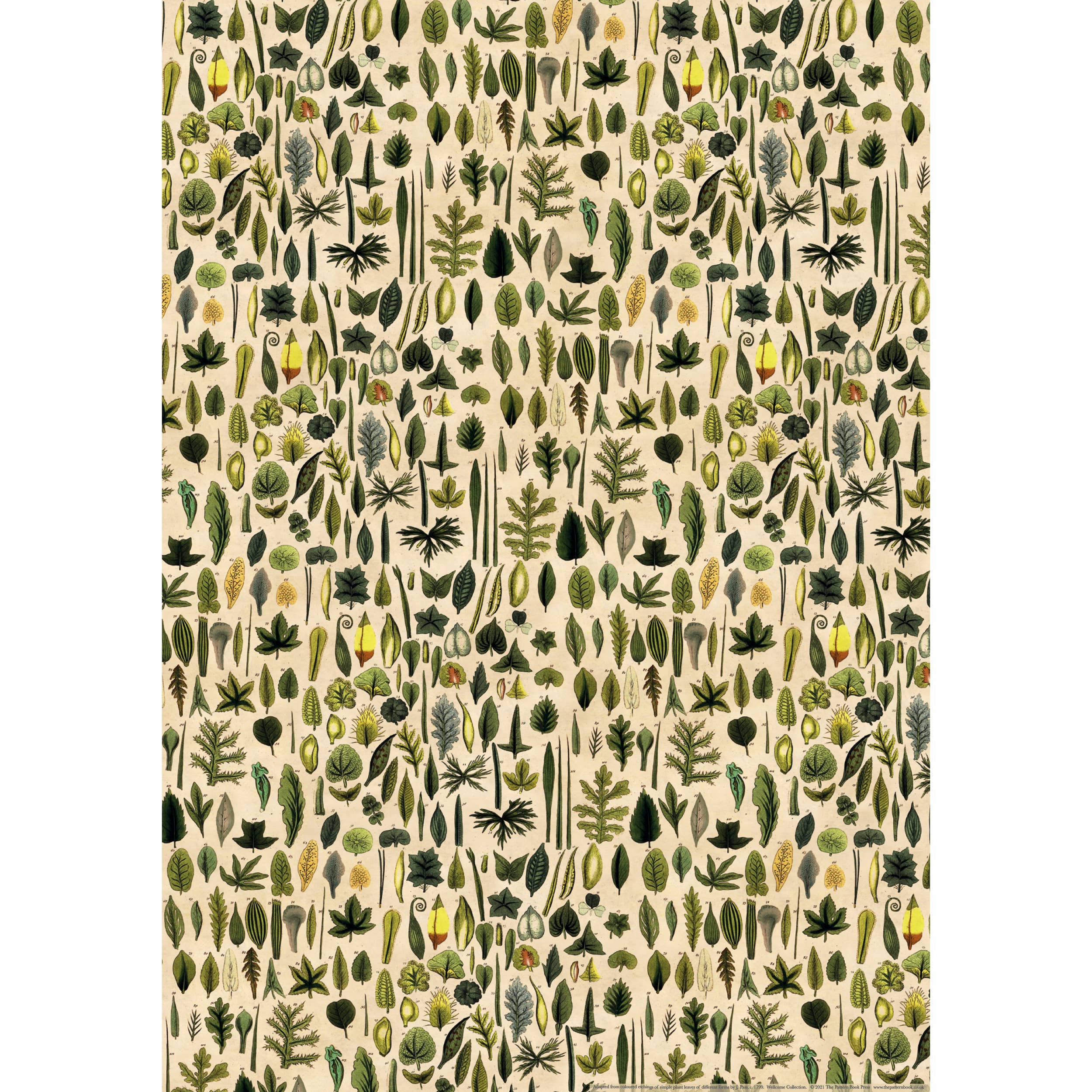 Leaves Gift Wrap