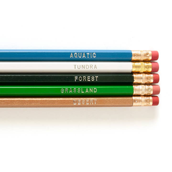 Biomes Pencil Set