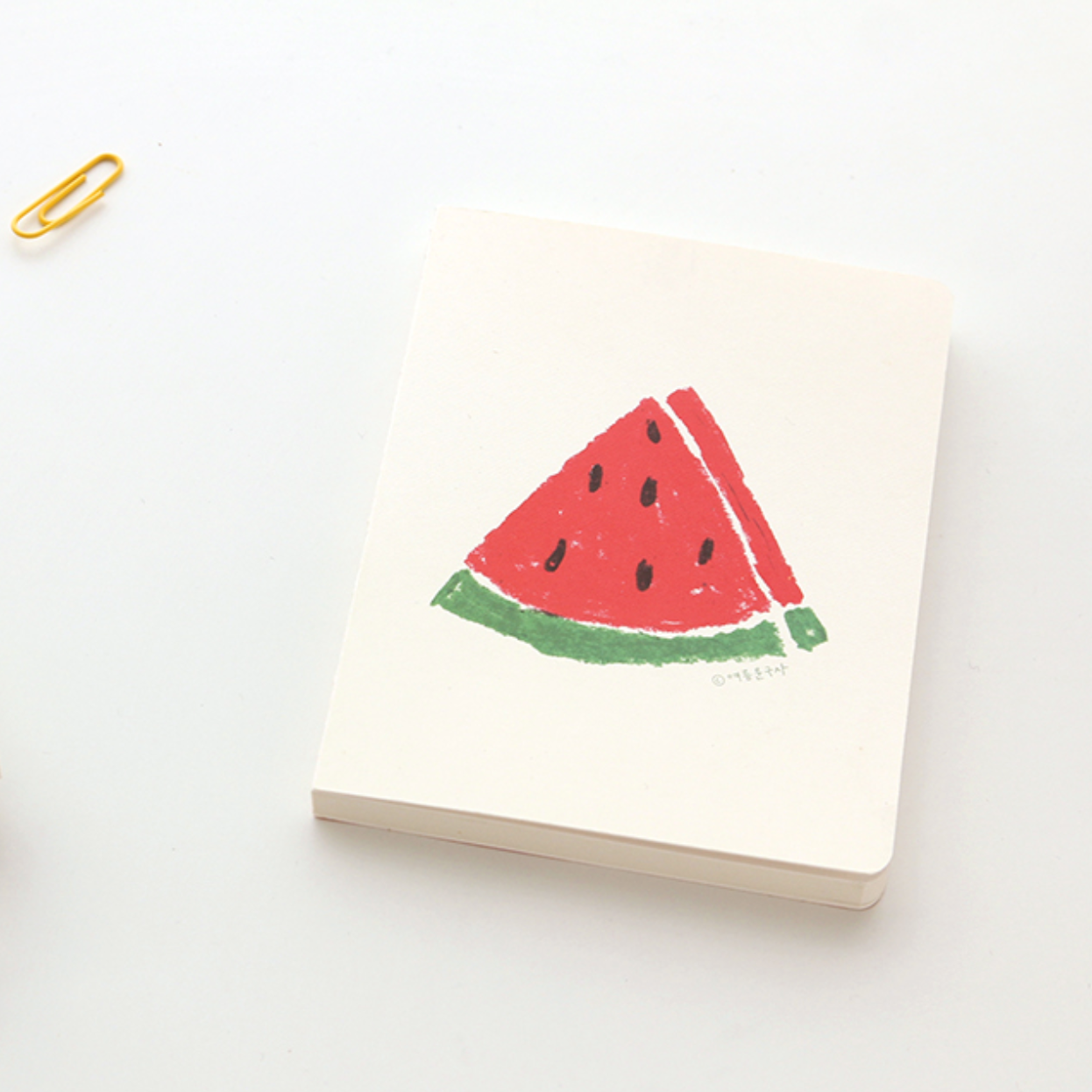 Watermelon Sketchbook