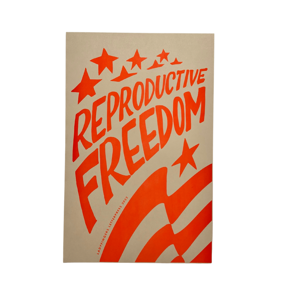 Reproductive Freedom Protest Posters